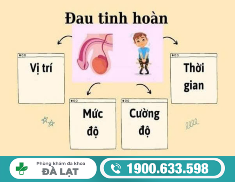 CÁCH CHỮA ĐAU TINH HOÀN Ở NAM GIỚI GIÚP PHỤC HỒI SỨC KHỎE SINH LÝ